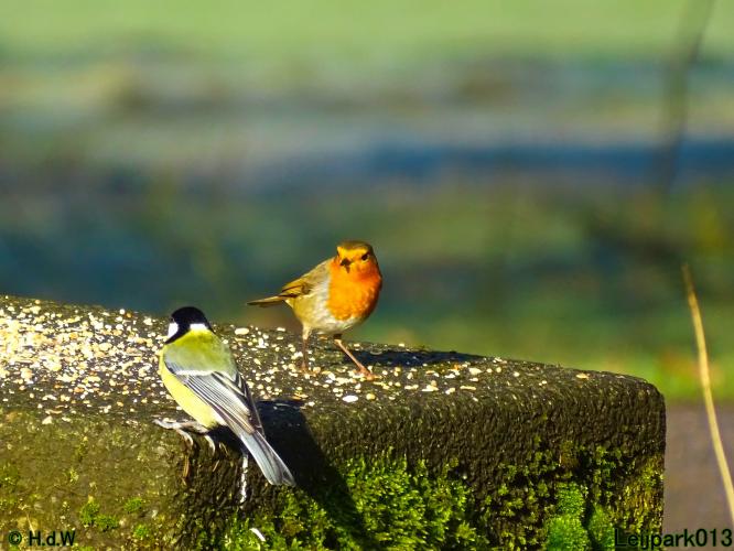 Leijpark013  1 &amp; 2 &amp; 3 &amp; 4 Maart 2022 