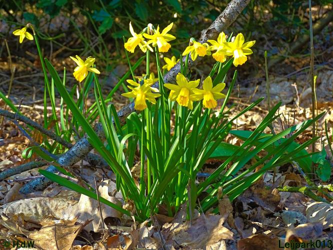 Leijpark013 10 &amp; 11 &amp; 12 &amp; 13 maart 2022