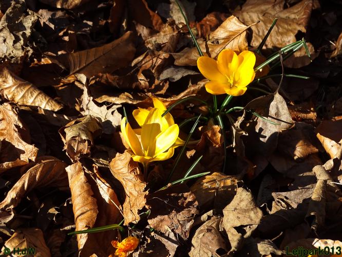 Leijpark013 10 &amp; 11 &amp; 12 &amp; 13 maart 2022