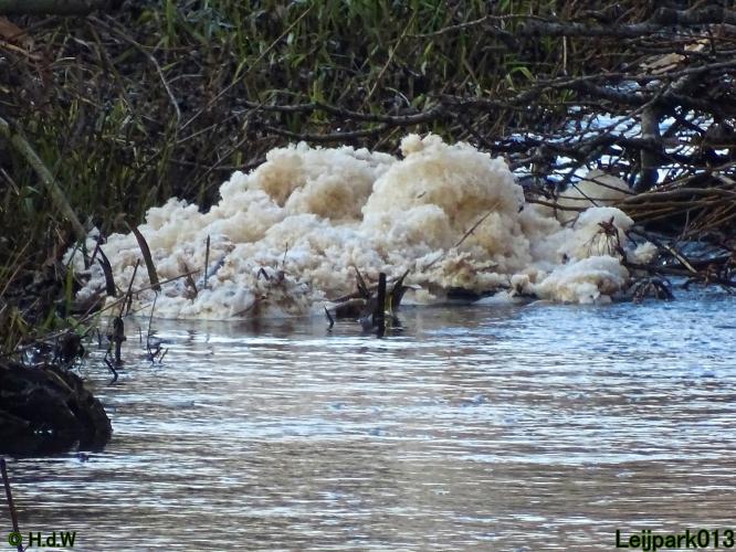 Leijpark013 10 &amp; 11 &amp; 12 &amp; 13 maart 2022