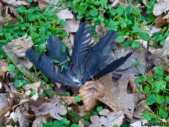 Leijpark013 10 &amp; 11 &amp; 12 &amp; 13 maart 2022