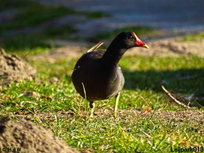 Leijpark013 10 &amp; 11 &amp; 12 &amp; 13 maart 2022