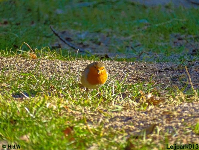 Leijpark013 10 &amp; 11 &amp; 12 &amp; 13 maart 2022