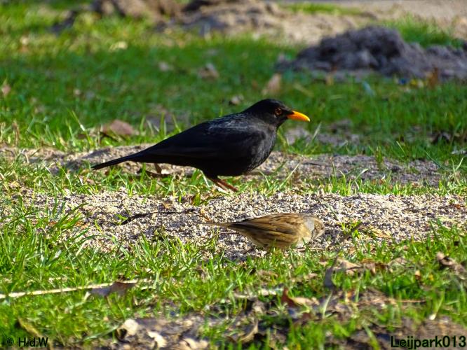 Leijpark013 10 &amp; 11 &amp; 12 &amp; 13 maart 2022