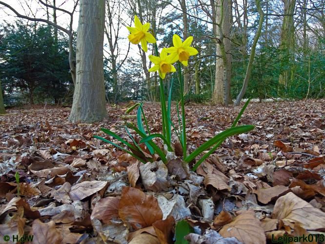 Leijpark013 10 &amp; 11 &amp; 12 &amp; 13 maart 2022