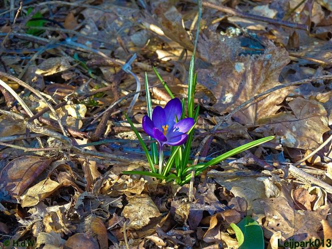 Leijpark013 10 &amp; 11 &amp; 12 &amp; 13 maart 2022