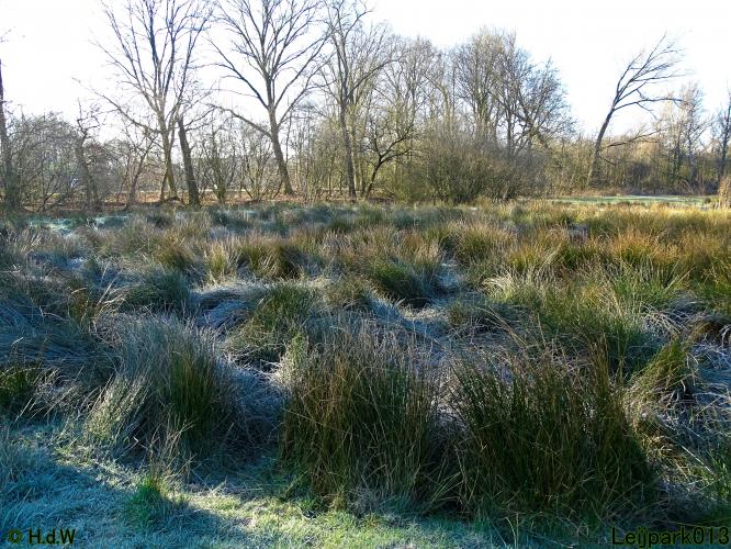 Leijpark013 10 &amp; 11 &amp; 12 &amp; 13 maart 2022