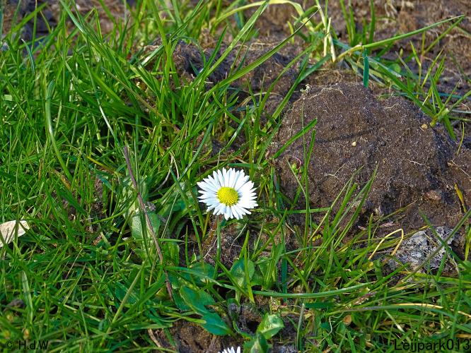 Leijpark013 10 &amp; 11 &amp; 12 &amp; 13 maart 2022