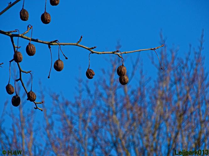 Leijpark013 10 &amp; 11 &amp; 12 &amp; 13 maart 2022