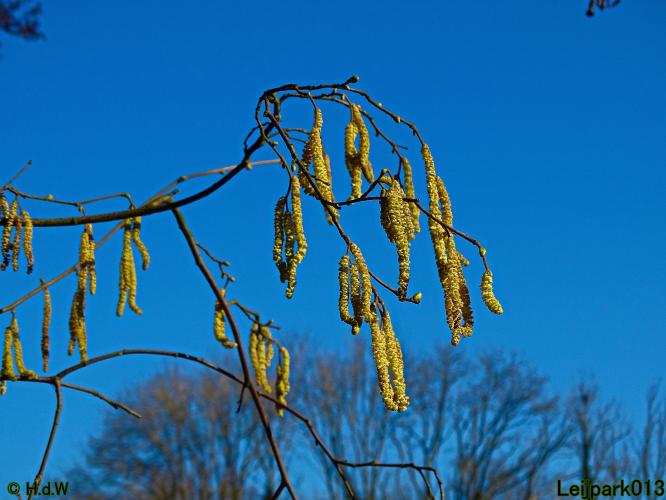 Leijpark013 10 &amp; 11 &amp; 12 &amp; 13 maart 2022