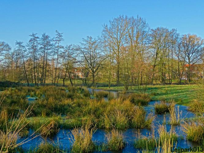 Leijpark013 10 &amp; 11 &amp; 12 &amp; 13 maart 2022