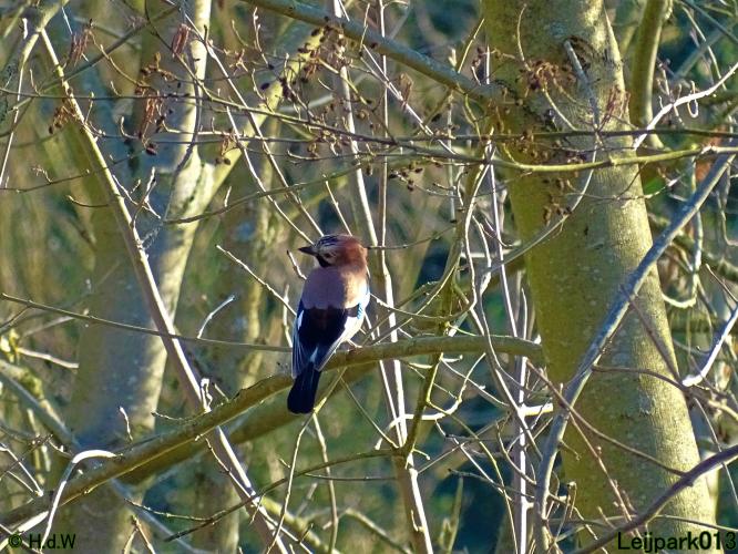 Nothing more beautiful than nature also in the Netherlands 