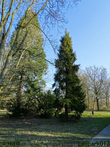 Nothing more beautiful than nature also in the Netherlands 