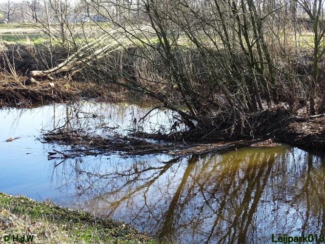 Nothing more beautiful than nature also in the Netherlands 
