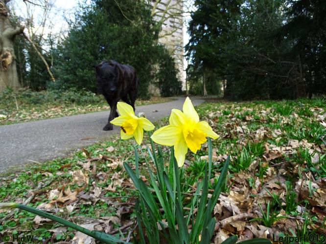 Nothing more beautiful than nature also in the Netherlands 