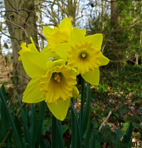 Leijpark013  17 &amp; 18 &amp; 19 maart 2022