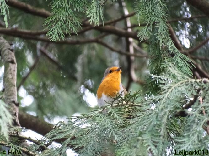 Leijpark013  17 &amp; 18 &amp; 19 maart 2022