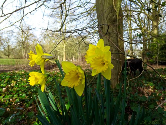 Leijpark013  17 &amp; 18 &amp; 19 maart 2022