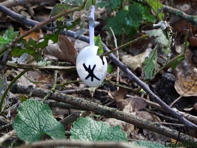 Leijpark013  17 &amp; 18 &amp; 19 maart 2022