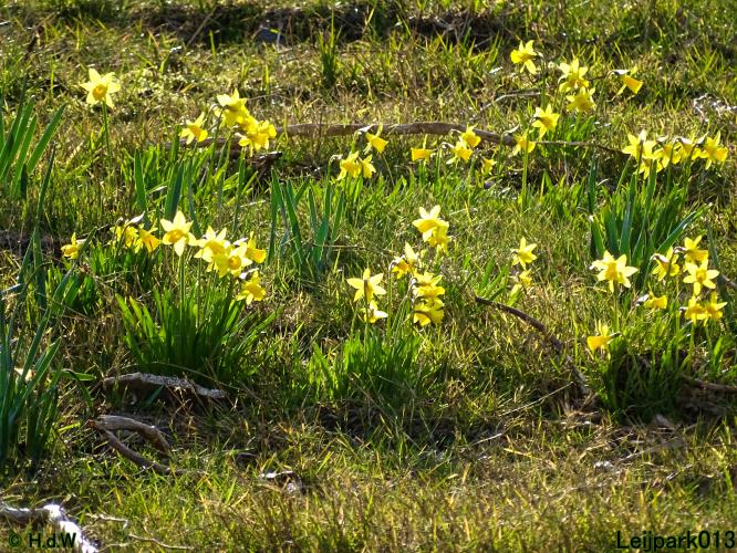 Leijpark013  17 &amp; 18 &amp; 19 maart 2022