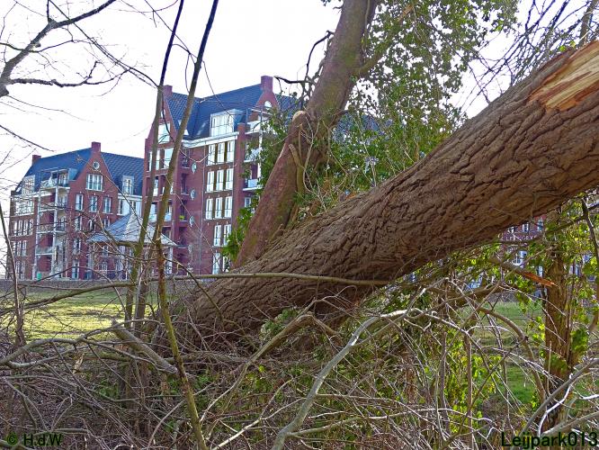 Leijpark013  17 &amp; 18 &amp; 19 maart 2022