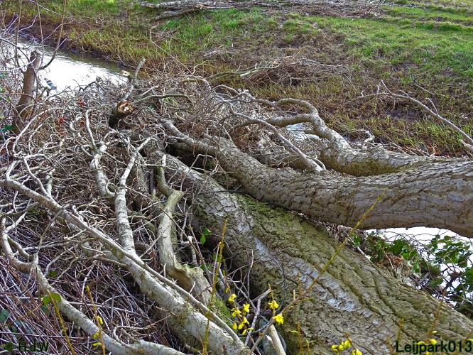 Leijpark013  17 &amp; 18 &amp; 19 maart 2022