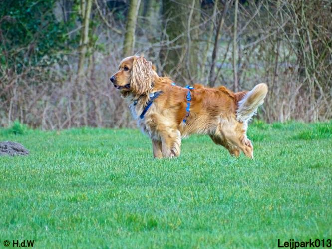 Leijpark013 Beestenboel 19 maart 2022 