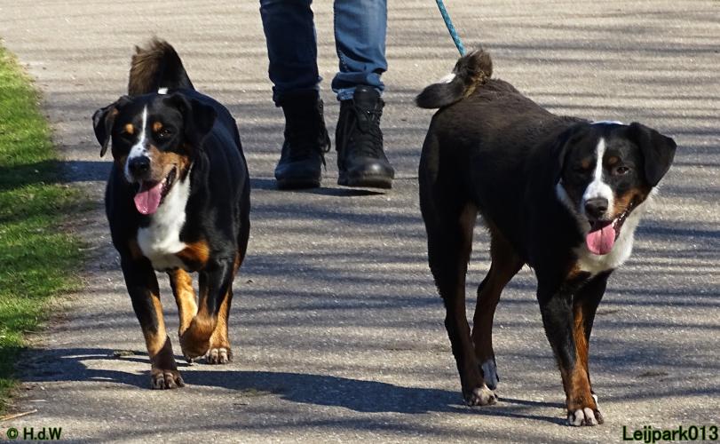 Leijpark013 Beestenboel 19 maart 2022 