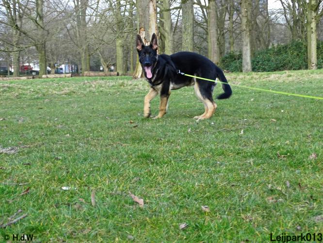 Leijpark013 Beestenboel 19 maart 2022 