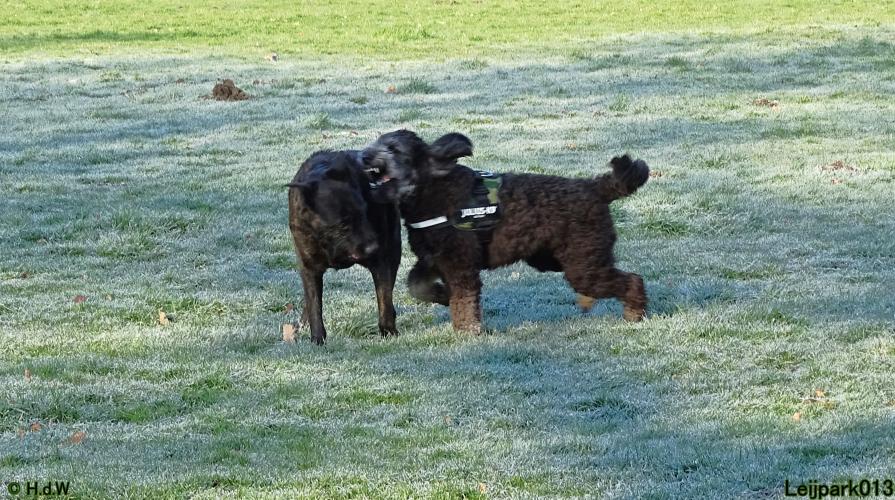 Leijpark013 Beestenboel 19 maart 2022 