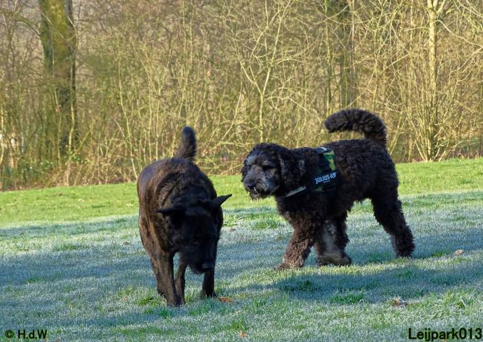 Leijpark013 Beestenboel 19 maart 2022 