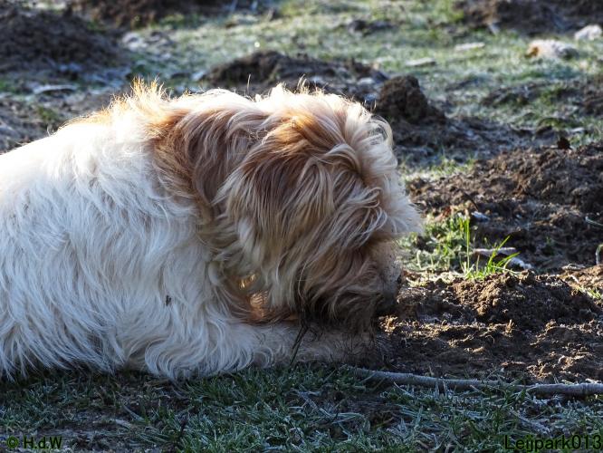 Leijpark013 Beestenboel 19 maart 2022 