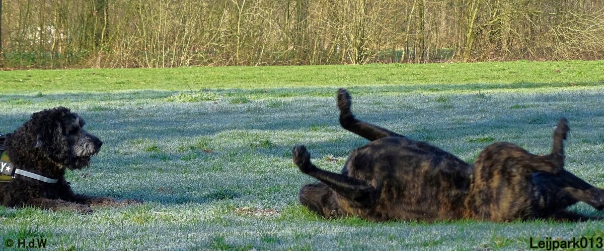 Leijpark013 Beestenboel 19 maart 2022 