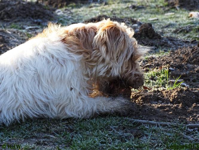 Leijpark013 Beestenboel 19 maart 2022 