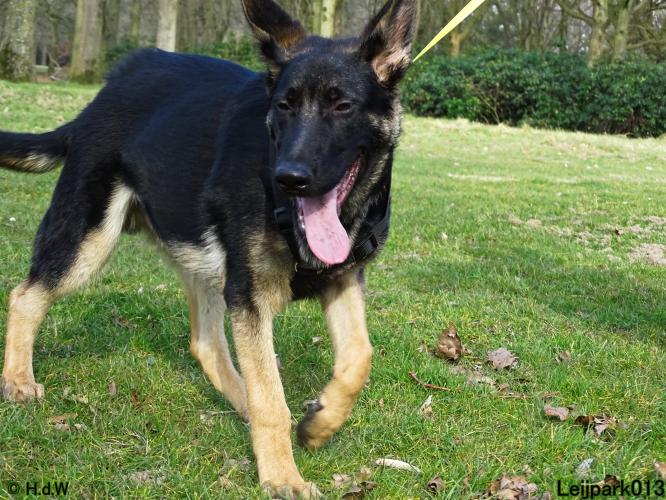 Leijpark013 Beestenboel 19 maart 2022 