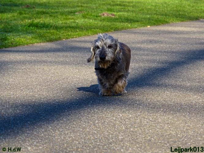 Leijpark013 Beestenboel 19 maart 2022 