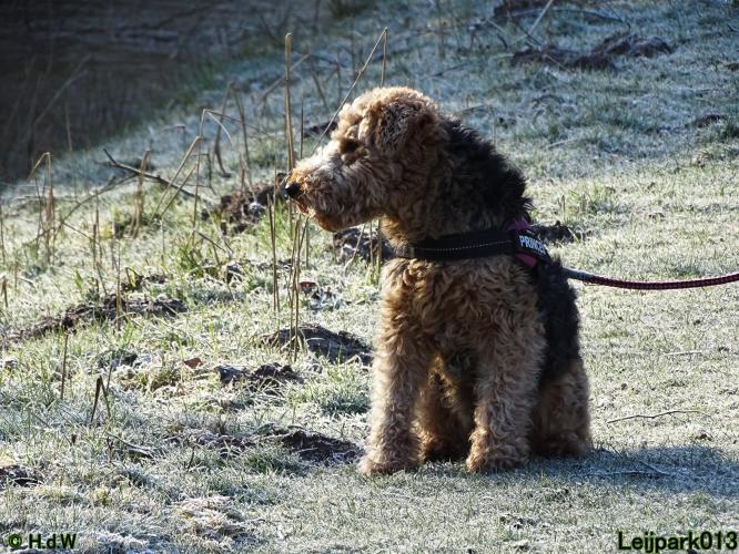 Leijpark013 Beestenboel 19 maart 2022 