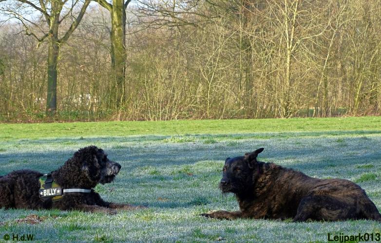 Leijpark013 Beestenboel 19 maart 2022 