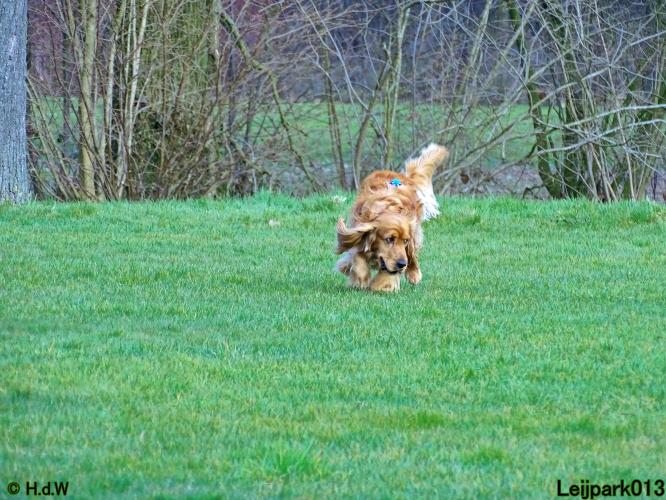 Leijpark013 Beestenboel 19 maart 2022 