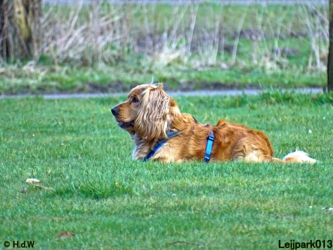 Leijpark013 Beestenboel 19 maart 2022 