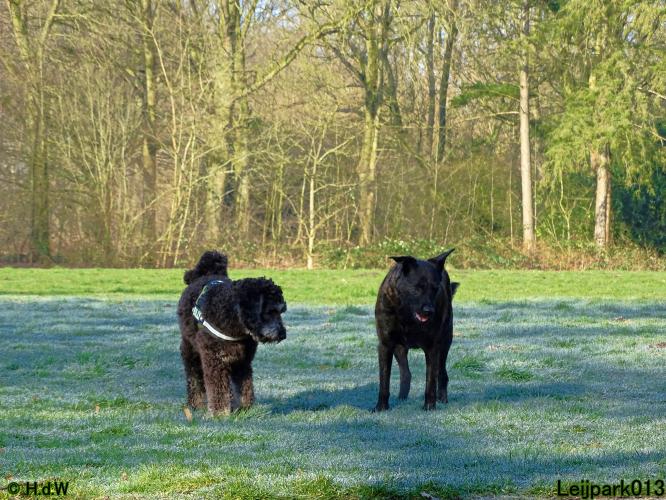 Leijpark013 Beestenboel 19 maart 2022 