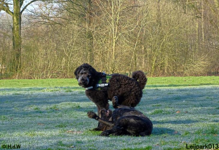 Leijpark013 Beestenboel 19 maart 2022 