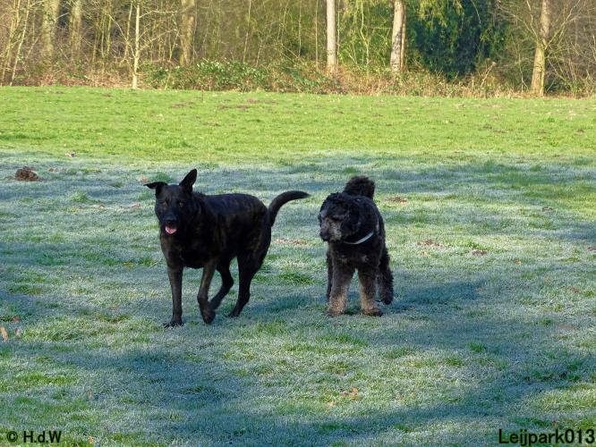 Leijpark013 Beestenboel 19 maart 2022 