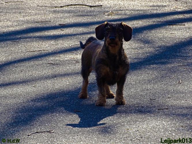 Leijpark013 Beestenboel 19 maart 2022 