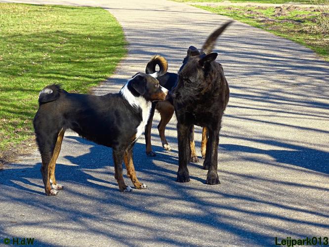 Leijpark013 Beestenboel 19 maart 2022 