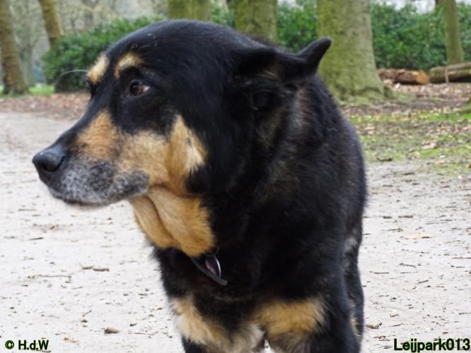 Leijpark 013 Beestenboel 29-3-2022