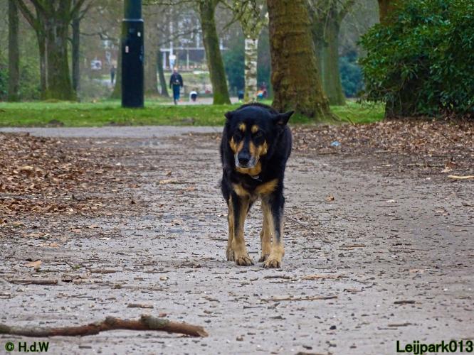 Leijpark 013 Beestenboel 29-3-2022