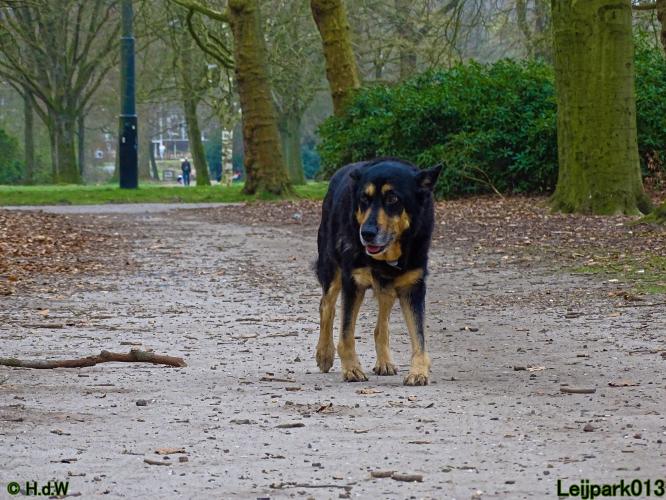 Leijpark 013 Beestenboel 29-3-2022