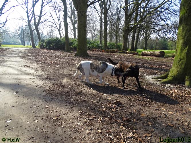 Leijpark 013 Beestenboel 29-3-2022