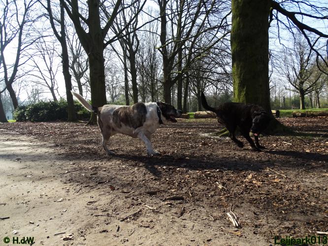 Leijpark 013 Beestenboel 29-3-2022